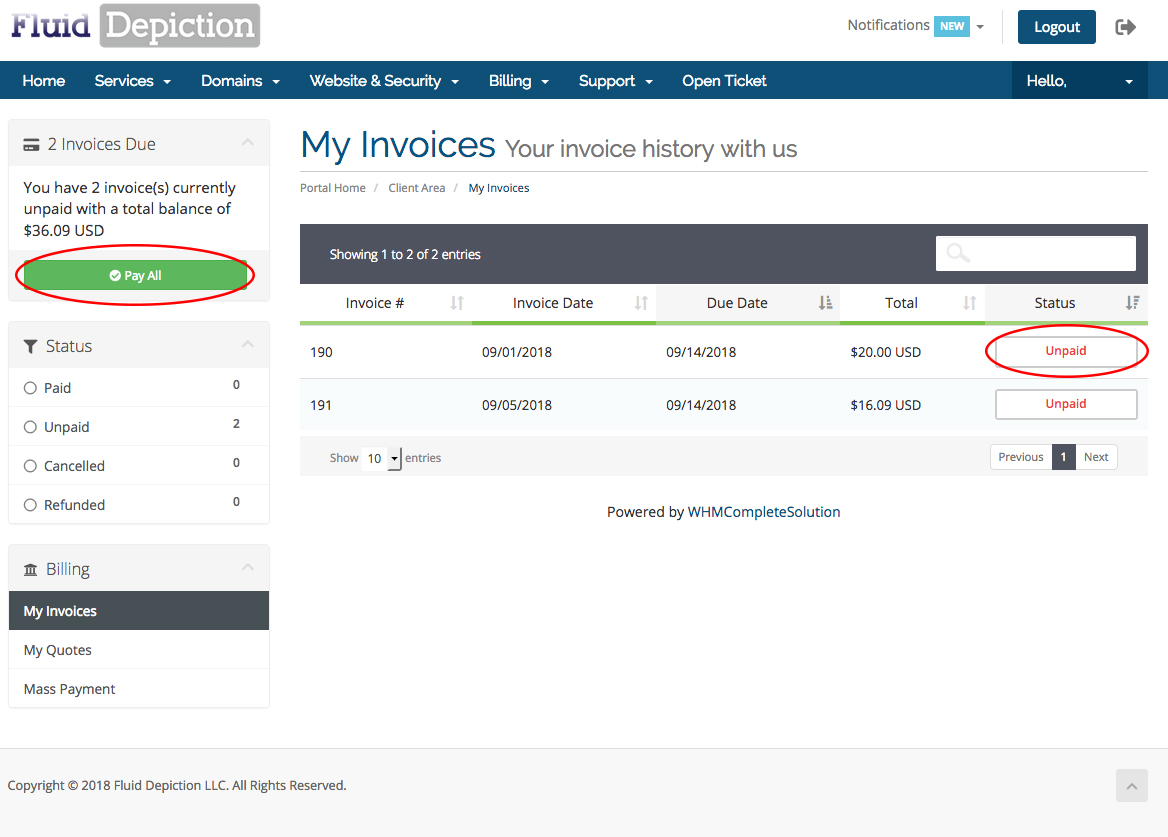 Detailed Invoice List